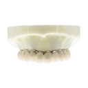 Modelo estudio y práctica Rehabilitación con 4 tornillos Max. Superior M6023 Machtig