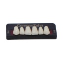 Tableta de Dientes Acrílicos H4 Upper CompacZahn Incidental