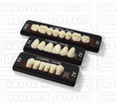 Tableta de Dientes Acrílicos G3 CompacZahn Incidental
