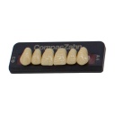 Tableta de Dientes Acrílicos G3 Upper CompacZahn Incidental