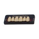 Tableta de Dientes Acrílicos G2 Upper CompacZahn Incidental