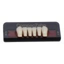 Tableta de Dientes Acrílicos K5 Lower CompacZahn Incidental