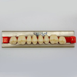 [LAB368432U] Tableta de Dientes Acrílicos 32U Vivid