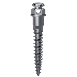 [ORT15216] Mini Implantes Orthofit Diámetro 1,6 x 2 mm DSP