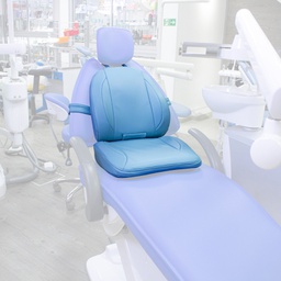 Sillin Cojín Pediátrico viscoelástico Color´s Machtig