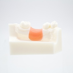 [DIA4205] Modelo estudio y práctica Injerto óseo Machtig