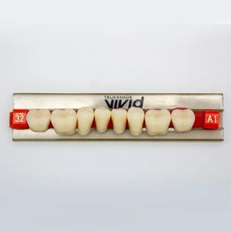 [LAB368432L] Tableta de Dientes Acrílicos 32L Vivid