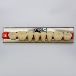 [LAB368436L] Tableta de Dientes Acrílicos 36L Vivid