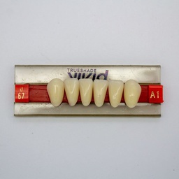 [LAB3684U67] Tableta de Dientes Acrílicos U67 Vivid