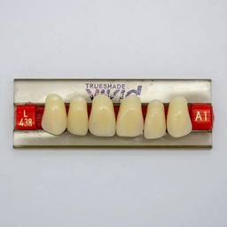 [LAB3684L438] Tableta de Dientes Acrílicos L438 Vivid