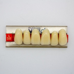 [LAB3684L501] Tableta de Dientes Acrílicos L501 Vivid