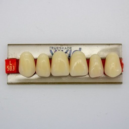 [LAB3684L503] Tableta de Dientes Acrílicos L503 Vivid