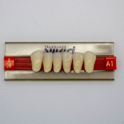 [LAB3684U38] Tableta de Dientes Acrílicos U38 Vivid