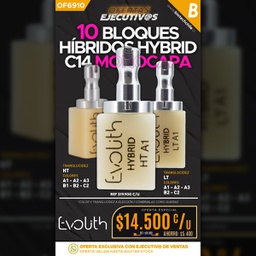 [OF6910] 10 Bloques Híbridos Hybrid C14 Evolith