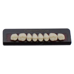 Tableta de Dientes Acrílicos M5 Upper CompacZahn Incidental