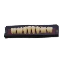 Tableta de Dientes Acrílicos M4 Lower CompacZahn Incidental