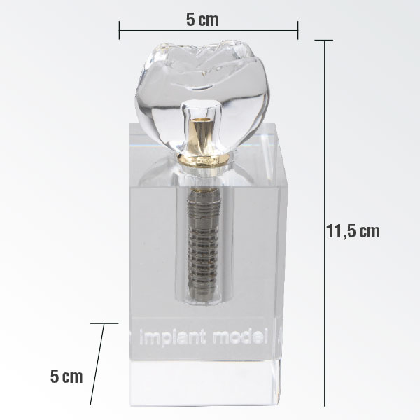 [DIA2825] Modelo Cristal Implante M2019 Machtig