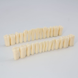 [DIA3004] Set Piezas dentales Ivorina para Tallar Machtig M8024
