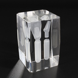 [DIA3195] Modelo Cristal Implante Anterior Z6004 Machtig