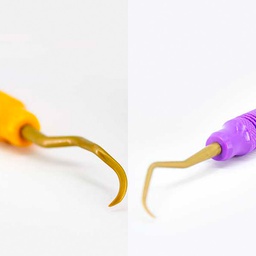 Mega Cureta Gracey Zirc